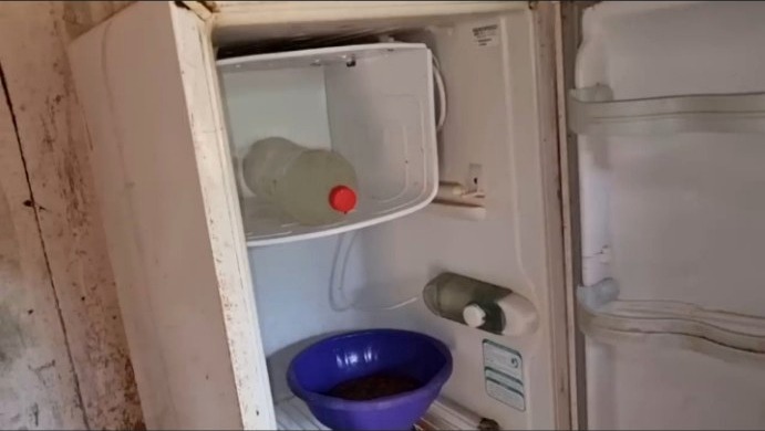 Interior da geladeira da família